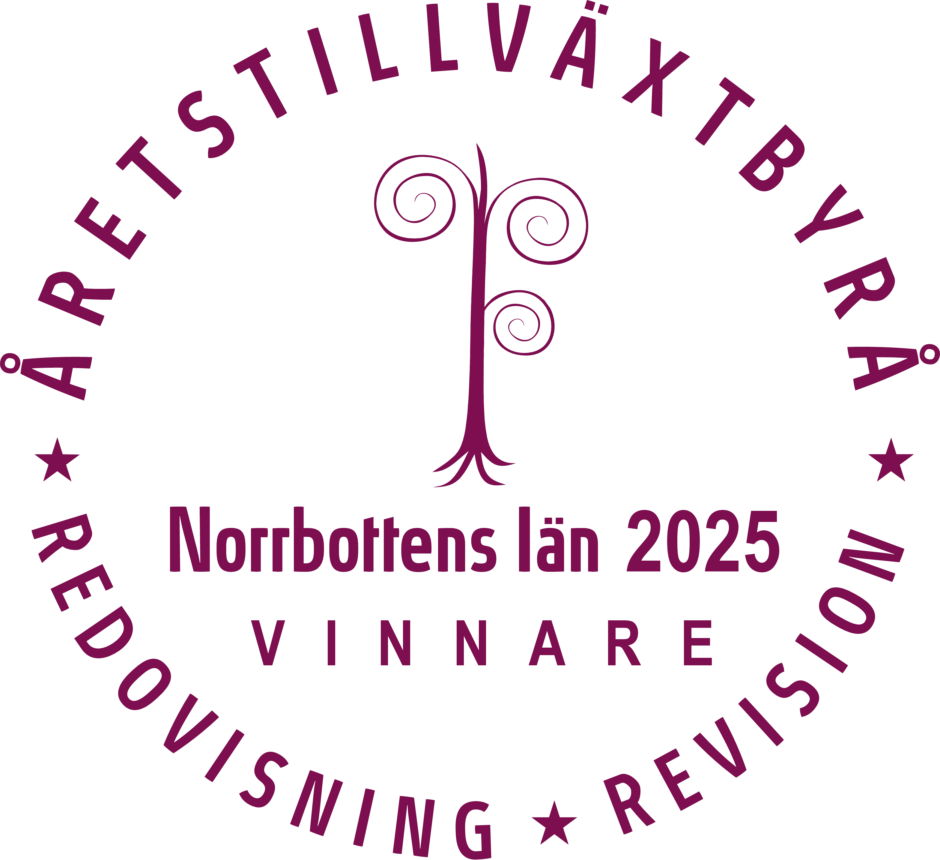 Vinnare av åretstillväxtbyrå redovisning revision norrbottens län 2025